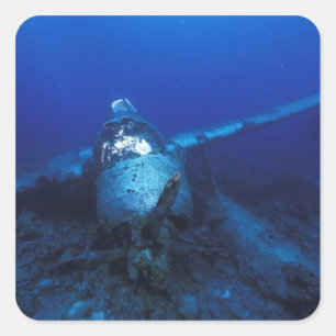 Micronesia, Palau, werelderfgoedgebied. WWII Vierkante Sticker