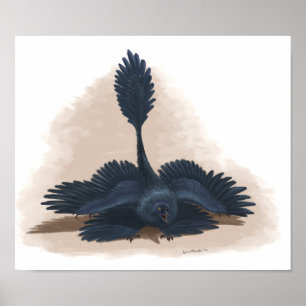 Microraptor Threat Display Impression