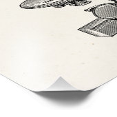  microscopen Oude Antiek microscoop Foto Afdruk (Hoek)