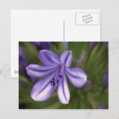 Microscopisch Uitzicht Briefkaart (Voorkant / Achterkant)