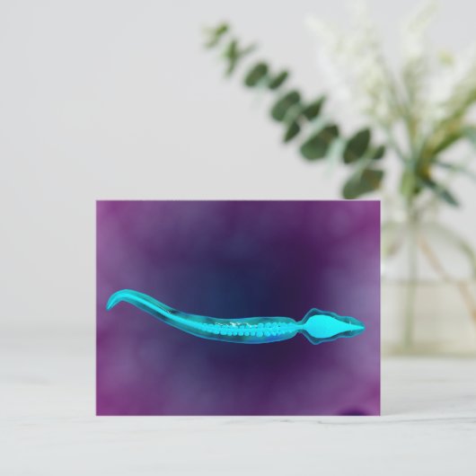 Microscopisch Uitzicht met botstructuur van het sp Briefkaart (Staand voorkant)