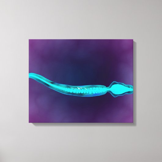 Microscopisch Uitzicht met botstructuur van het sp Canvas Afdruk (Voorkant)