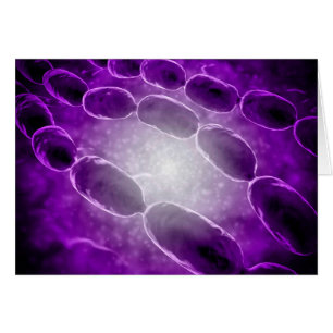 Microscopisch Uitzicht van bacteriële pneumonie 2
