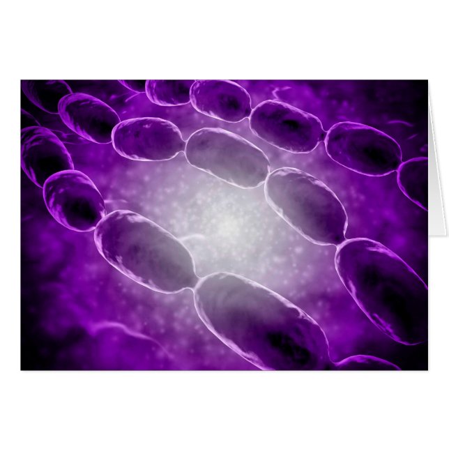 Microscopisch Uitzicht van bacteriële pneumonie 2 (Voorkant Horizontaal)