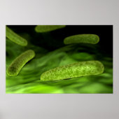 Microscopisch Uitzicht van bacteriën 1 Poster (Voorkant)