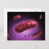 Microscopisch Uitzicht van bacteriën 2 Briefkaart (Voorkant / Achterkant)