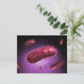 Microscopisch Uitzicht van bacteriën 2 Briefkaart (Staand voorkant)
