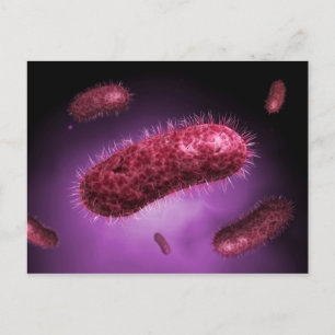 Microscopisch Uitzicht van bacteriën 2 Briefkaart