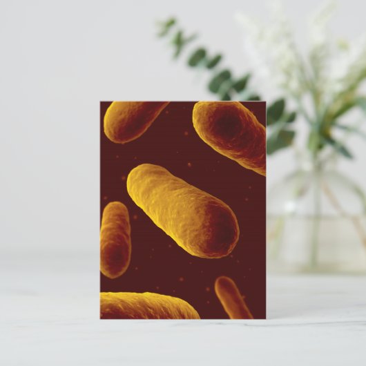 Microscopisch Uitzicht van bacteriën 3 Briefkaart (Staand voorkant)
