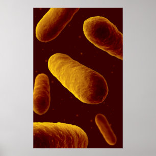 Microscopisch Uitzicht van bacteriën 3 Poster