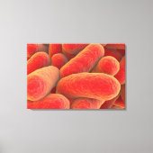 Microscopisch Uitzicht van bacteriën 4 Canvas Afdruk (Voorkant)