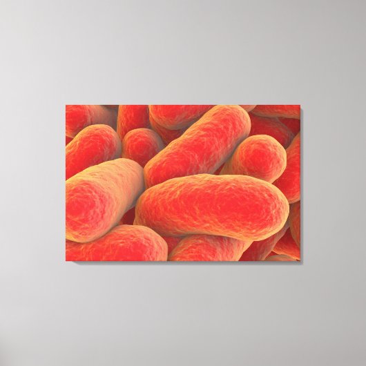 Microscopisch Uitzicht van bacteriën 4 Canvas Afdruk (Voorkant)
