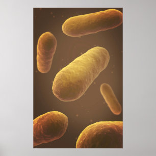 Microscopisch Uitzicht van bacteriën 5 Poster