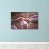 Microscopisch uitzicht van bacteriën canvas afdruk (Insitu (Houten vloer))
