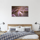 Microscopisch uitzicht van bacteriën canvas afdruk (Insitu (Slaapkamer))