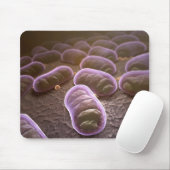 Microscopisch uitzicht van bacteriën muismat (Met muis)