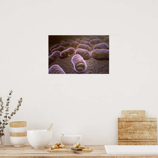 Microscopisch uitzicht van bacteriën poster (Keuken)