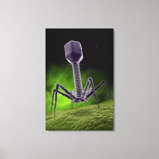 Microscopisch Uitzicht van bacteriofaag Canvas Afdruk (Voorkant)