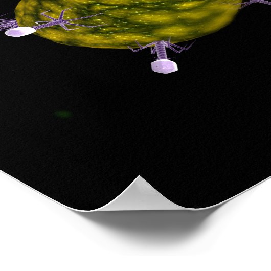 Microscopisch Uitzicht van bacteriofaag Poster (Hoek)
