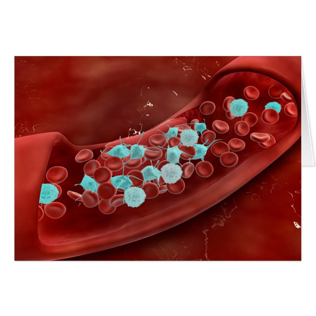 Microscopisch Uitzicht van bloeduitzetting (Voorkant Horizontaal)