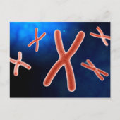 Microscopisch Uitzicht van chromosoom 1 Briefkaart (Voorkant)