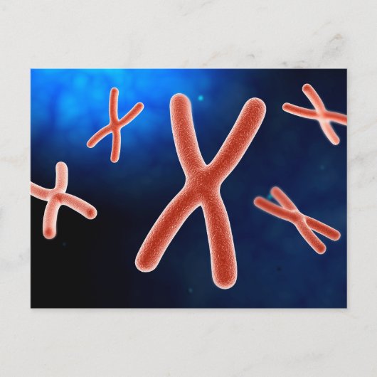 Microscopisch Uitzicht van chromosoom 1 Briefkaart (Voorkant)