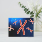 Microscopisch Uitzicht van chromosoom 1 Briefkaart (Staand voorkant)