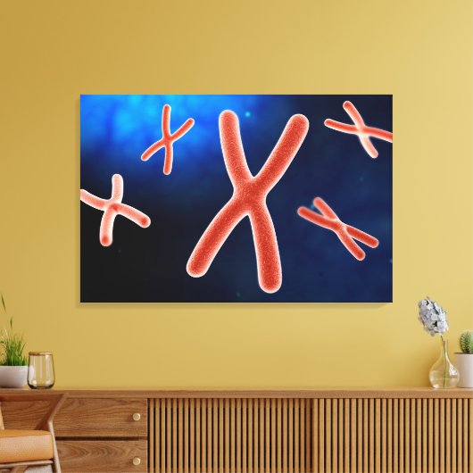 Microscopisch Uitzicht van chromosoom 1 Canvas Afdruk (Insitu (Woonkamer))