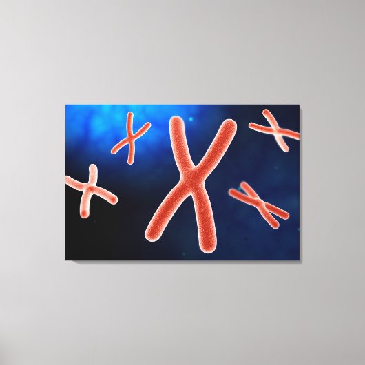 Microscopisch Uitzicht van chromosoom 1 Canvas Afdruk (Voorkant)