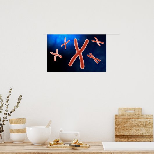 Microscopisch Uitzicht van chromosoom 1 Poster (Keuken)