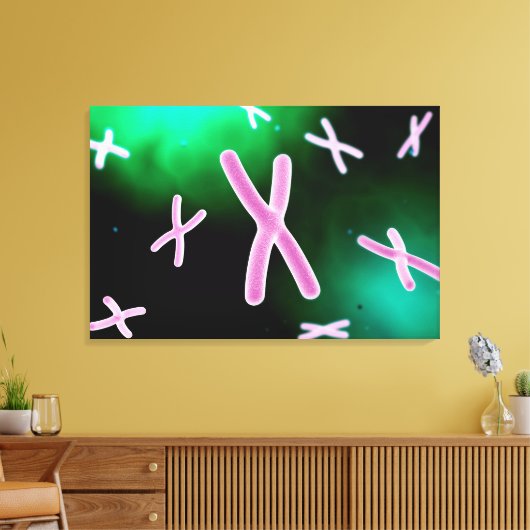 Microscopisch Uitzicht van chromosoom 2 Canvas Afdruk (Insitu (Woonkamer))