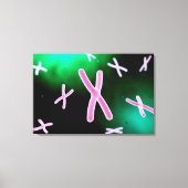 Microscopisch Uitzicht van chromosoom 2 Canvas Afdruk (Voorkant)