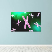 Microscopisch Uitzicht van chromosoom 2 Canvas Afdruk (Insitu (Houten vloer))