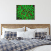 Microscopisch Uitzicht van Cocci Bacterium Canvas Afdruk (Insitu (Slaapkamer))