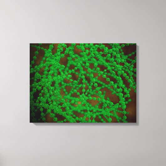 Microscopisch Uitzicht van Cocci Bacterium Canvas Afdruk (Voorkant)