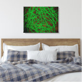 Microscopisch Uitzicht van Cocci Bacterium Canvas Afdruk (Insitu (Slaapkamer))