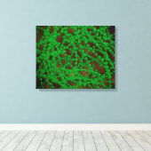 Microscopisch Uitzicht van Cocci Bacterium Canvas Afdruk (Insitu (Houten vloer))