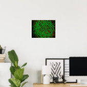Microscopisch Uitzicht van Cocci Bacterium Poster (Thuiskantoor)