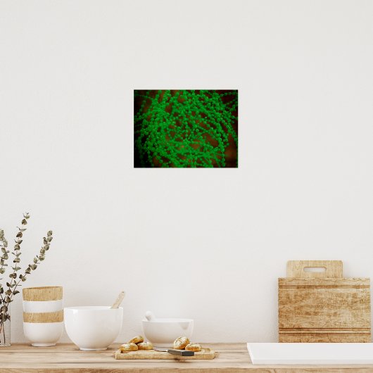Microscopisch Uitzicht van Cocci Bacterium Poster (Keuken)