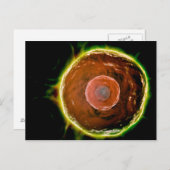 Microscopisch Uitzicht van de B-cellen 2 van de me Briefkaart (Voorkant / Achterkant)