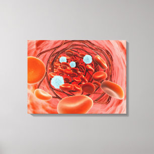 Microscopisch Uitzicht van de bloedstroom in een s Canvas Afdruk