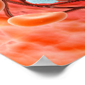 Microscopisch Uitzicht van de bloedstroom in een s Poster (Hoek)