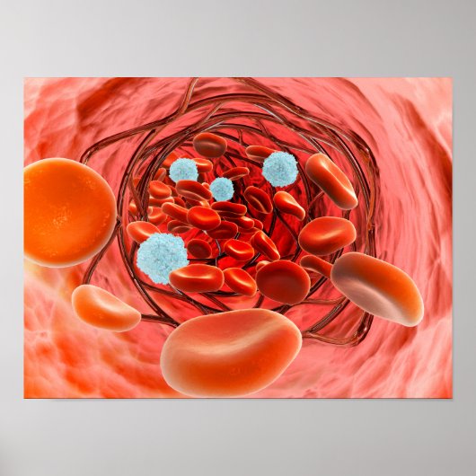 Microscopisch Uitzicht van de bloedstroom in een s Poster (Voorkant)