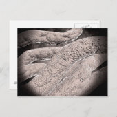 Microscopisch Uitzicht van de korncobformatie Briefkaart (Voorkant / Achterkant)