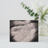 Microscopisch Uitzicht van de korncobformatie Briefkaart (Staand voorkant)