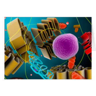 Microscopisch Uitzicht van dierlijke celkern