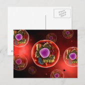 Microscopisch Uitzicht van dierlijke cellen 2 Briefkaart (Voorkant / Achterkant)