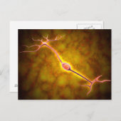Microscopisch Uitzicht van een bipolaire neuron Briefkaart (Voorkant / Achterkant)