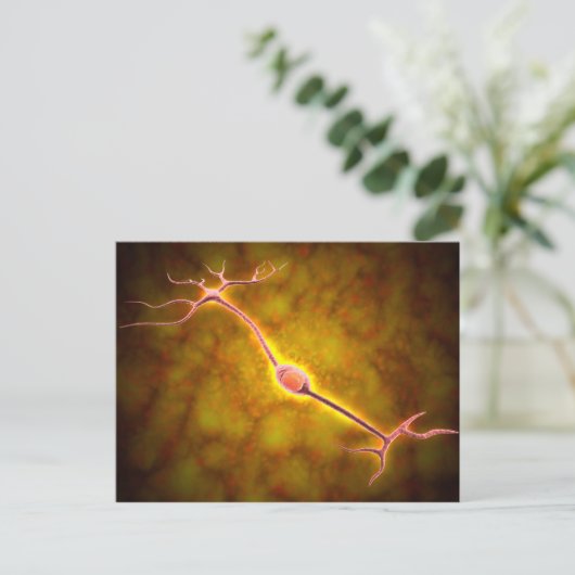 Microscopisch Uitzicht van een bipolaire neuron Briefkaart (Staand voorkant)