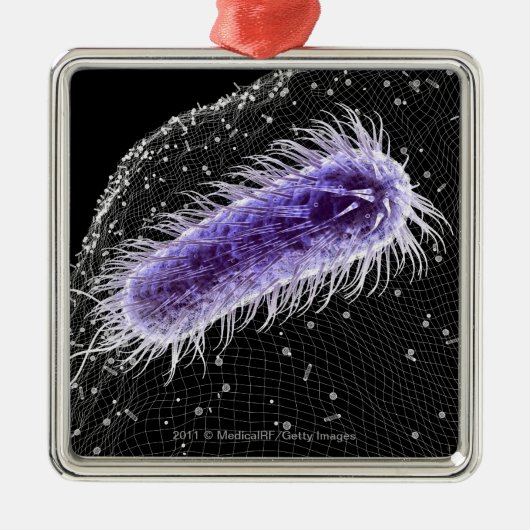 Microscopisch uitzicht van een helicobacter pylori metalen ornament (Voorkant)